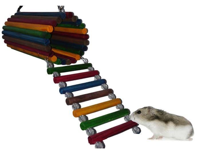 Imagem de Brinquedo Aves Roedores playground toca casinha ponte escada