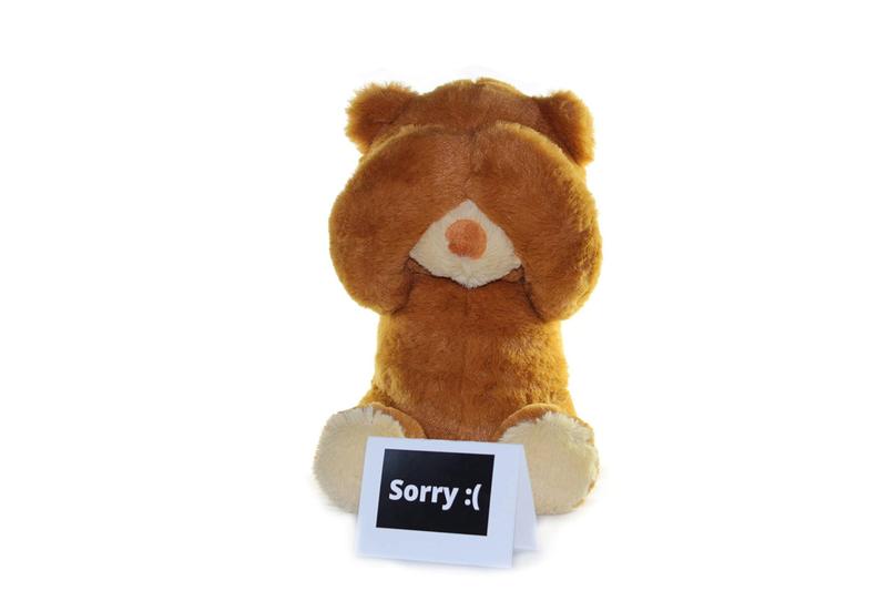 Imagem de Brinquedo de pelúcia I'm Sorry Teddy Bear Gift Brown