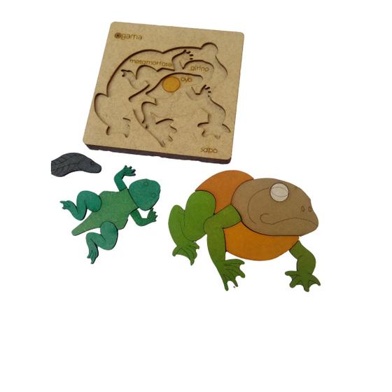 Imagem de Brinquedo educativo Quebra Cabeça Fases do Sapo anfibio