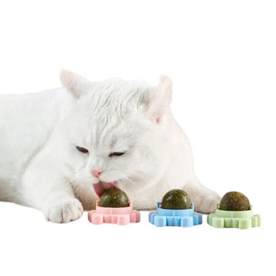Brinquedo Interativo Gato Gruda Na Parede Rolo De Lamber Catnip Ball - Lms Pet Menor preço em Brinquedo Interativo Gato Gruda Na Parede Rolo De Lamber Catnip Ball - Lms Pet