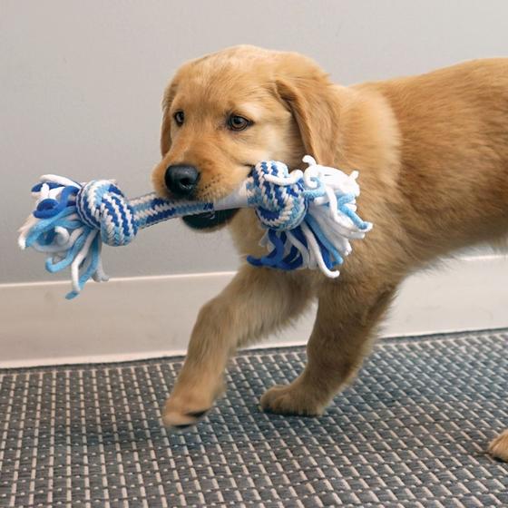 Imagem de Brinquedo Kong Corda Rope Stick Puppy Azul