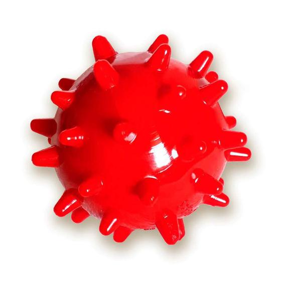 Imagem de Brinquedo São Benedito Pet Bola Maciça com Cravo Vermelha para Cães  - Tamanho P