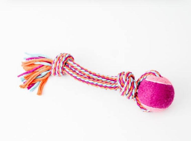 Imagem de Brinquedos para cães corda e bolinha rosa