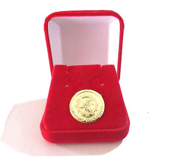 Imagem de Broche Botton Economia Folheado Ouro 18k