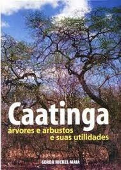 Imagem de Caatinga : árvores e arbustos e suas utilidades.