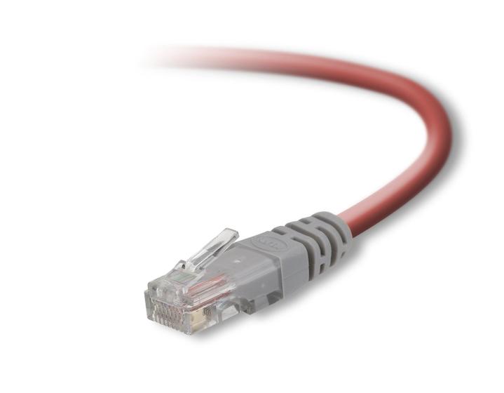 Imagem de Cabo de Rede Crossover CAT5e Belkin (6 Pés) - Vermelho
