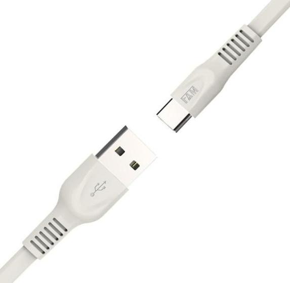 Imagem de Cabo tipo c 1.2m fca-ec12 fam