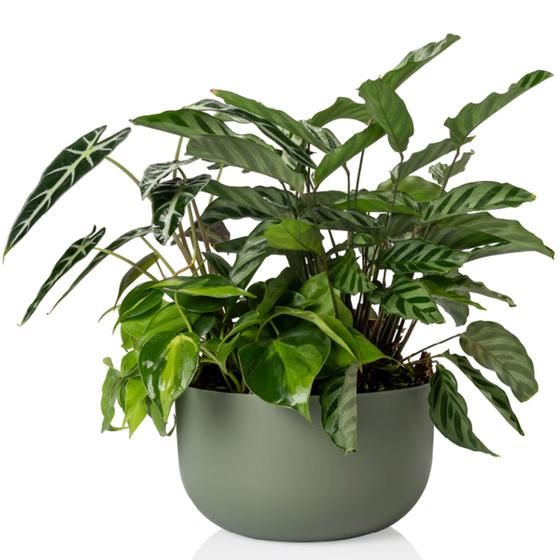Imagem de Cachepô Coleção Due N6 Pote 21 Vaso Raiz 24x14 Cores Variada Cachepot