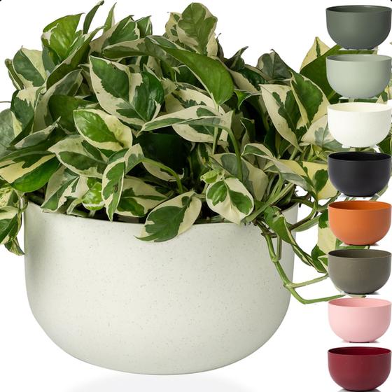 Imagem de Cachepot Cuia Vaso Pote 21 Raiz Due N6 21x14cm Encaixe Decore Cachepô Plástico para Decorar