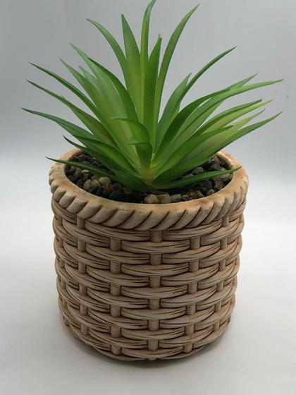 Imagem de Cachepot de ceramica com suculenta rattan 10cm x 10cm x 17cm