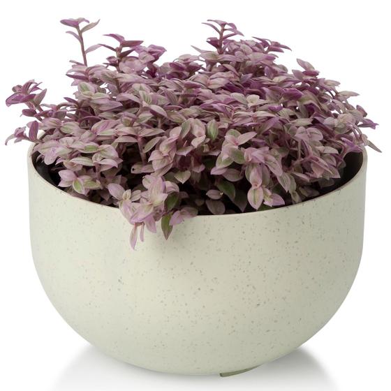 Imagem de Cachepot Due Mini Cuia Pote Ideal p/ Vaso Numero 13 p/ Plantas Raiz Cachepô Encaixe e Decore Cores Variadas