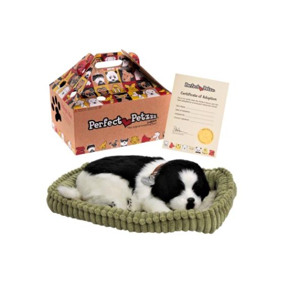 Perfect petzzz border collie hotsell