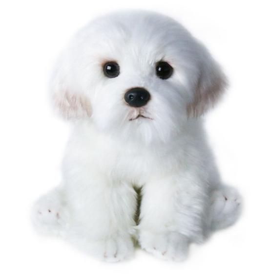 Imagem de Cachorro maltês de pelúcia Wokex Bichon Frise Puppy