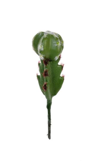 Imagem de Cacto em Plástico Verde 13cm - H8