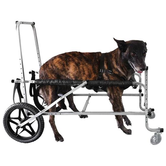 Imagem de Cadeira Andador De 4 Rodas Para Cachorro Pet Grande Porte N5