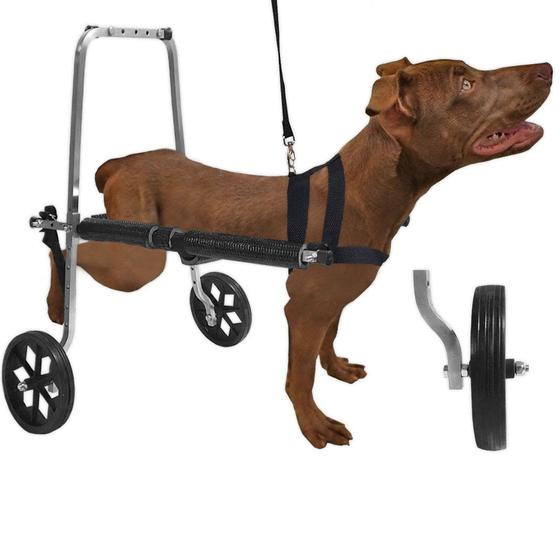 Imagem de Cadeira De Rodas Para Cachorro de Pequeno Médio Porte M Regulável com Anti Tombamento Pet Best Soluções