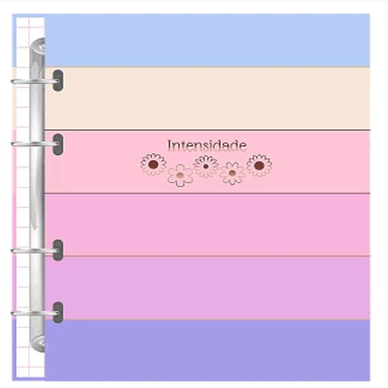 Imagem de Caderno argolado 80 folhas 90 grs   intensidade   merci   974