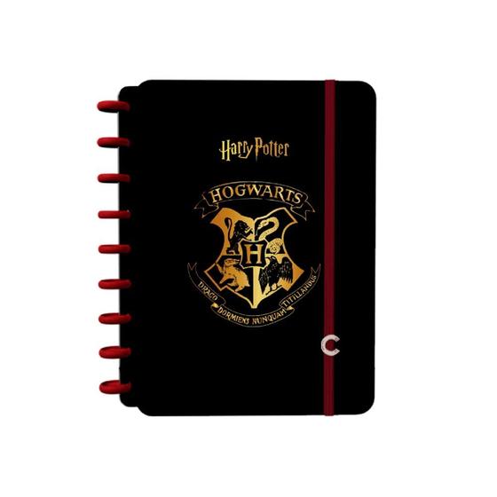 Imagem de Caderno Inteligente 1/4 1x1 80 Fls Jandaia - Harry Potter 1