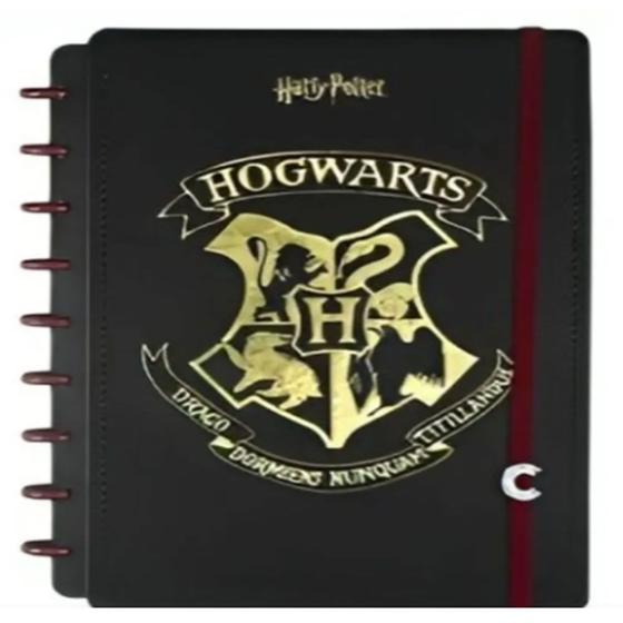 Imagem de Caderno inteligente univ 1x1 80fls 01/pt harry potter fsc   jandaia   75738 24