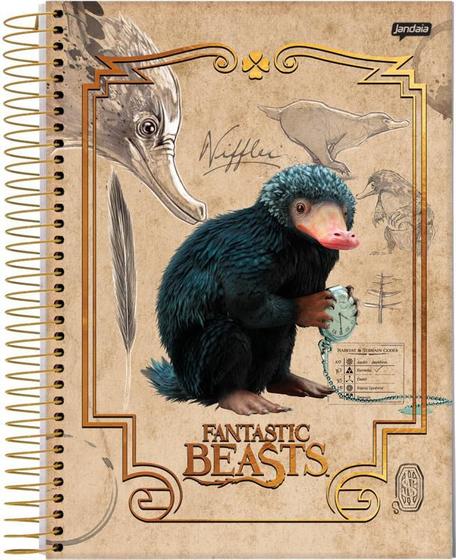 Imagem de Caderno Jandaia universitário fantastic beasts 160 folhas