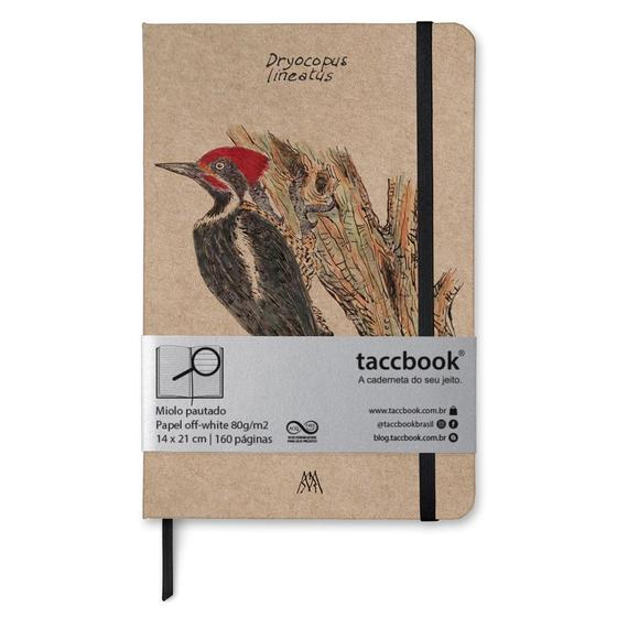 Imagem de Caderno Pautado taccbook Pipa-pau Banda Bca 14x21 Ríg.