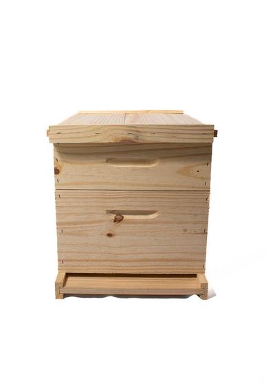 Imagem de Caixa abelha apis pinus langstroth conjunto