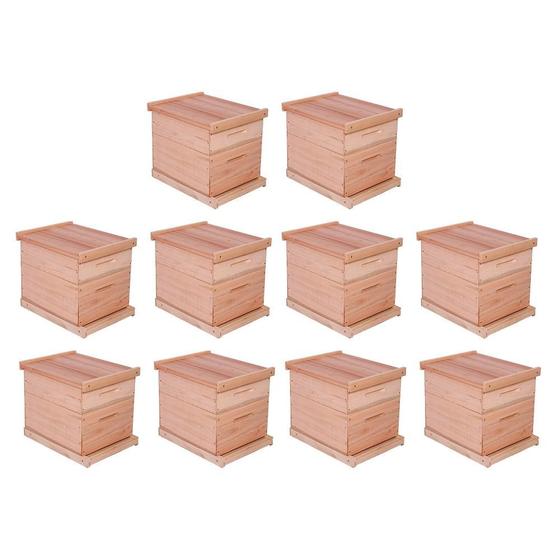Imagem de Caixa de Abelha Padrão Langstroth Eucalipto KIT 10 UNIDADES