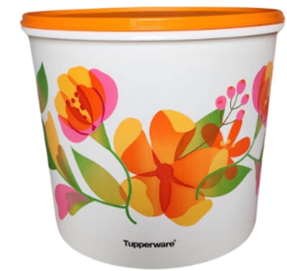 Imagem de Caixa de armazenagem 6,5 litros Linha Florescência (ÚLTIMA PEÇA) Tupperware