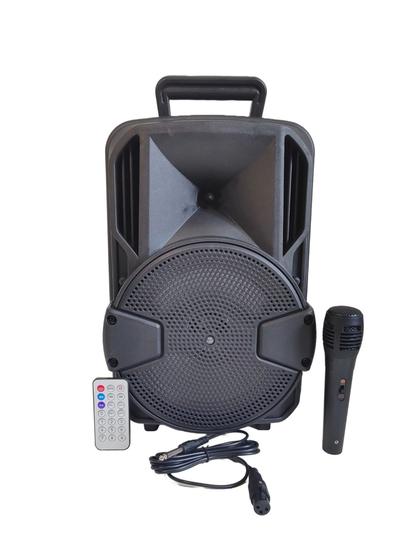 Imagem de Caixa de som Bluetooth Amplificada Grande Microfone P10