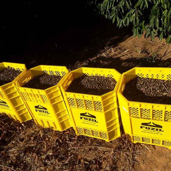 Caixa Multiuso Fz 70 Balaio - Fuzil - Caixas de Som - Magazine Luiza