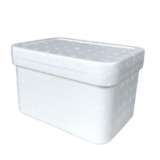 Caixa térmica Isopor Sorvete Doces Medicamentos 20,5x12,5cm Menor preço em Caixa térmica Isopor Sorvete Doces Medicamentos 20,5x12,5cm