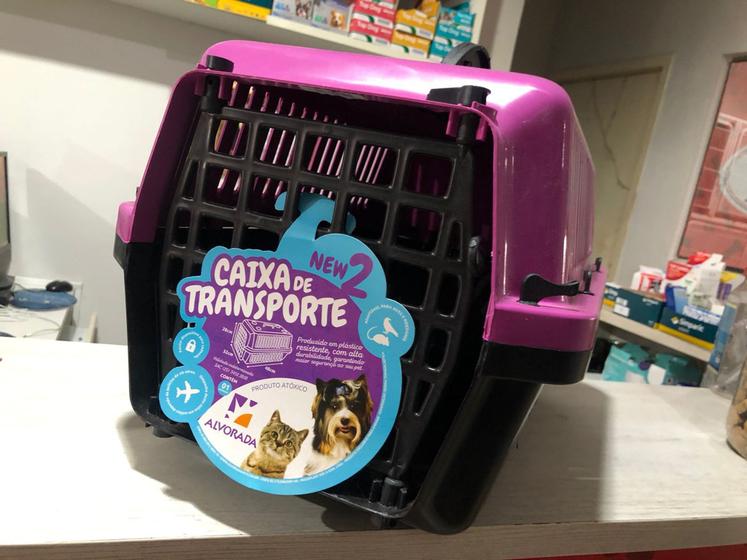 Caixa Transporte Alvorada Outros Pets Magazine Luiza