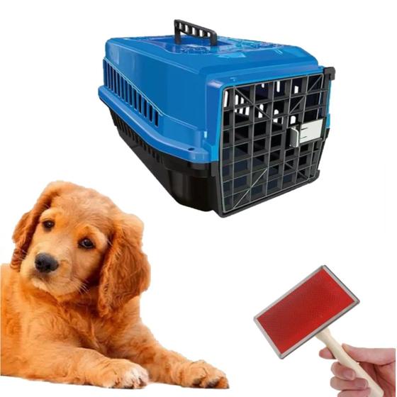 Imagem de Caixa Transporte Dog Plástica N3 Azul + Escova Rasqueadeira