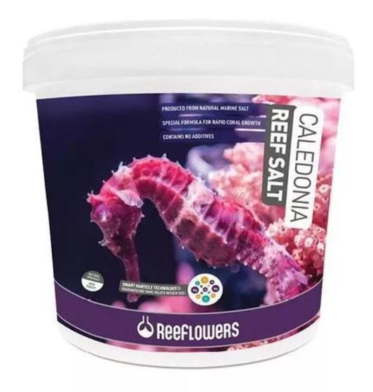 Imagem de Caledonia reef salt 6,5kg balde