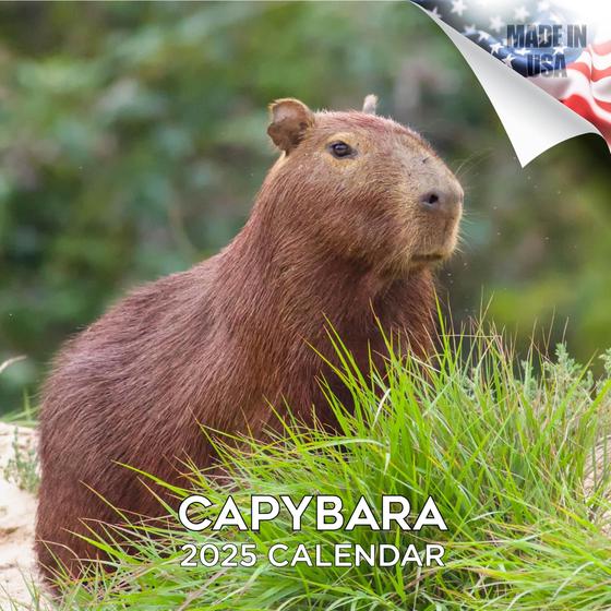 Imagem de Calendário de parede MegaCalendars Capybara 2024 2025 mensal