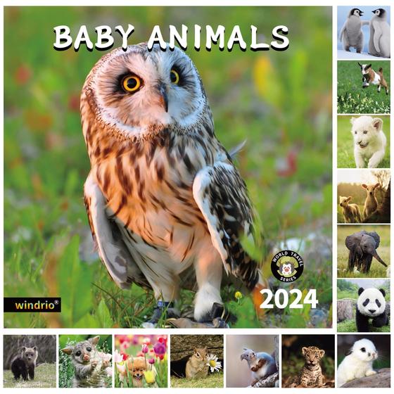 Imagem de Calendário de parede windrio 2024 Baby Animals de novembro a dezembro