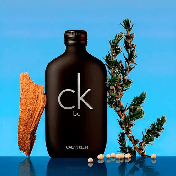 Imagem de Calvin Klein CK Be Eau de Toilette - Perfume Unissex 100ml