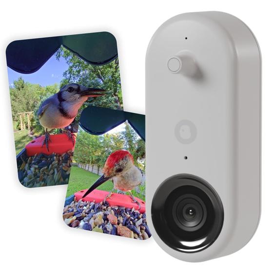 Imagem de Câmera Bird Buddy Nature Cam Pro - 5MP, Vídeo 2K para Observação da Vida Selvagem