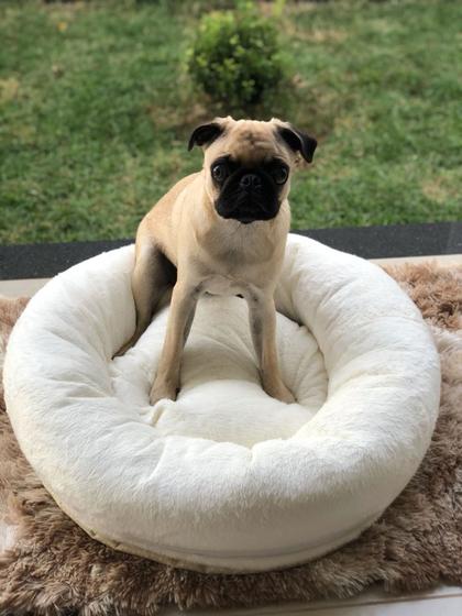 Imagem de Caminha Pet de Pelúcia Redonda Para Cachorros e Gatos Macia - Lavi Baby Store