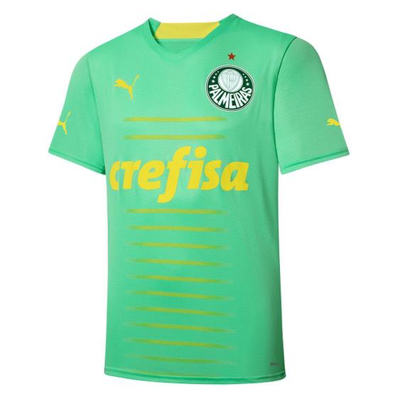 Imagem de Camisa palmeiras puma iii 22/23 masculina