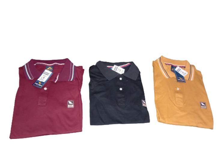 Imagem de Camisa polo masculina