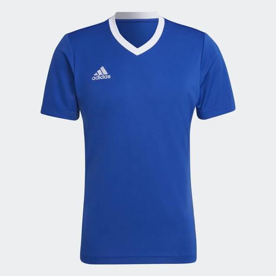 Imagem de Camiseta adidas team 22 royal/branco