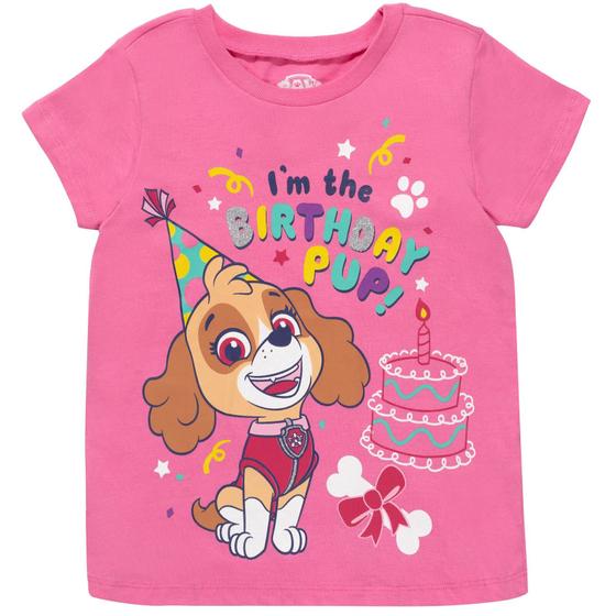 Imagem de Camiseta Paw Patrol Skye Birthday Toddler Girls Rosa 5T