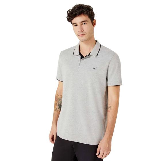 Imagem de Camiseta Polo Hering Básica Masculina Em Piquet Com Bordado Cinza