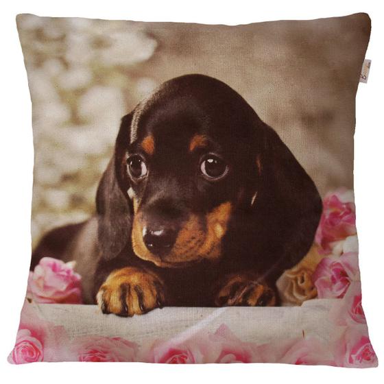 Imagem de Capa de Almofada Decorativa Animais Dog Dachshund 45x45cm