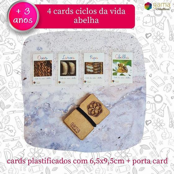 Imagem de Cards Ciclo da Vida da Abelha (4un) com Porta Cards de MDF