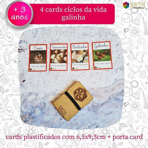 Imagem de Cards Ciclo da Vida da Galinha - 4 Unidades + Porta Cards