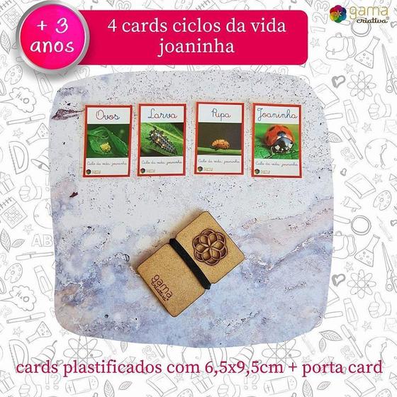 Imagem de Cards Ciclo da Vida Joaninha (4un) - Brinquedo Infantil