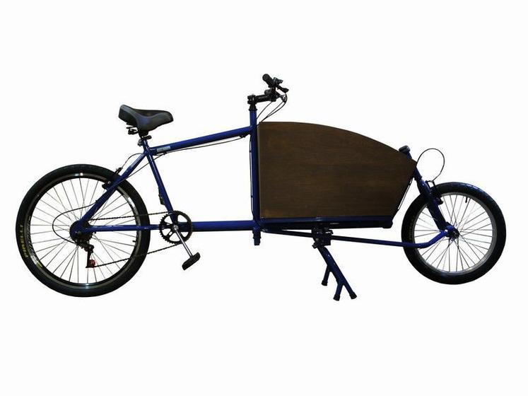 Imagem de Cargo Bike com baú (CB007) Ecocase