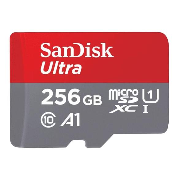 Imagem de cartao de memoria de 256 Gb sandisk